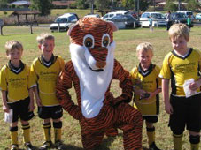 Westlawn Tigers Football Club